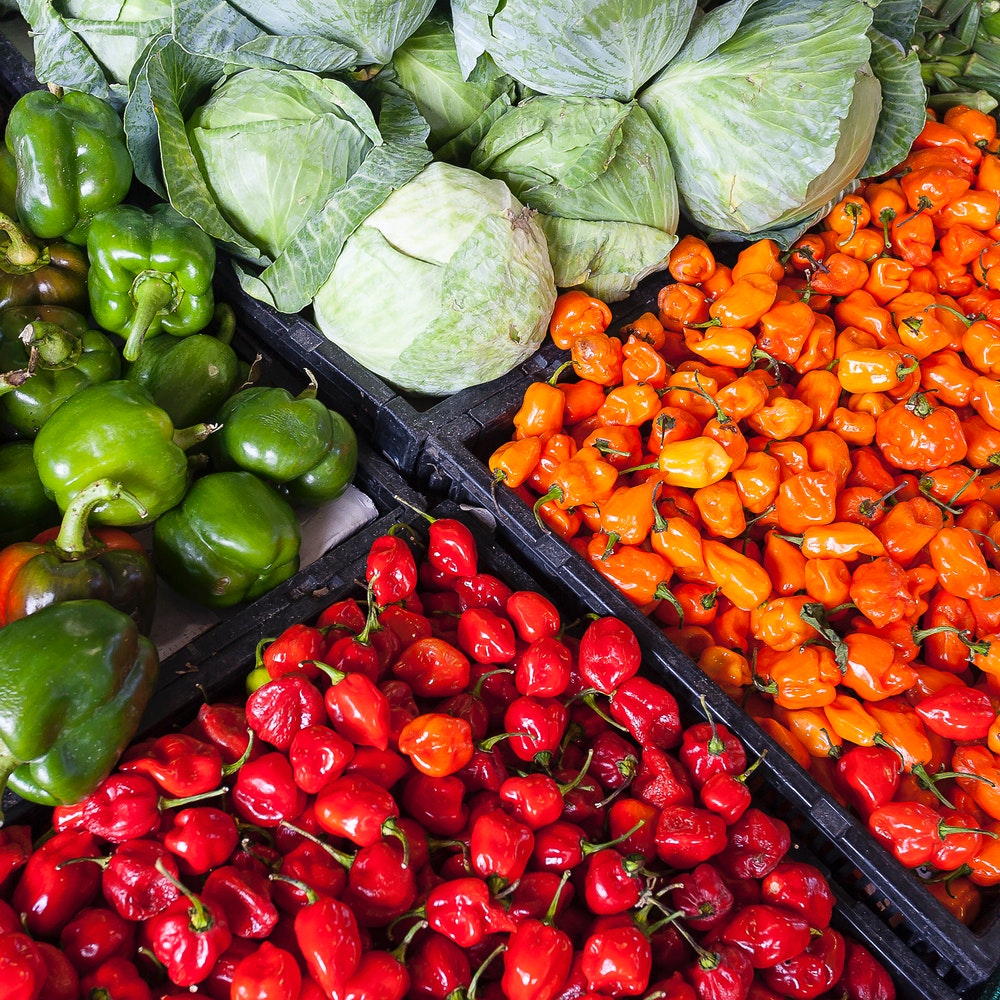 Manipulador de alimentos. Sector Almacenes y grandes superficies. FCOM01 3.1�